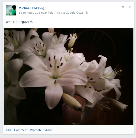 Facebook launched app for Google Glass Facebook launched app for Google Glass