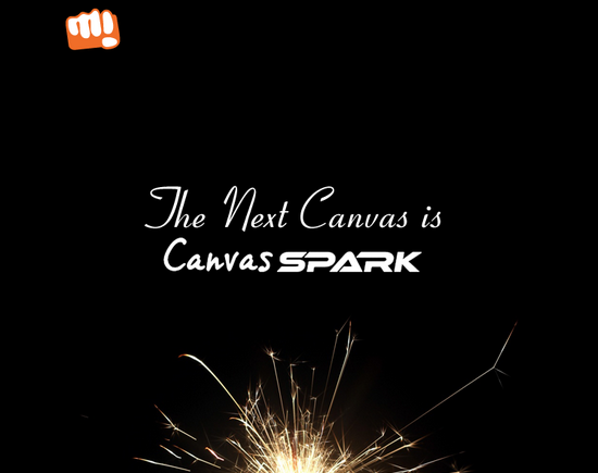 Micromax Canvas Spark (1)