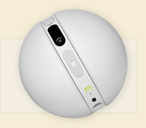 LG Rolling Bot