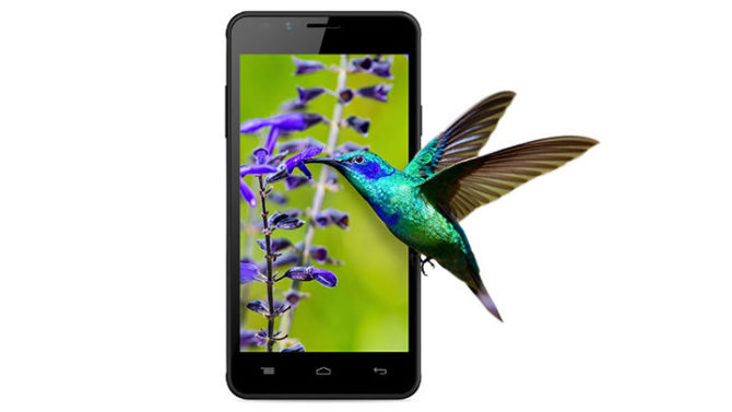 Intex Aqua Lions E3