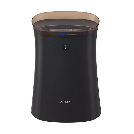 Top 10 Air Purifiers In India