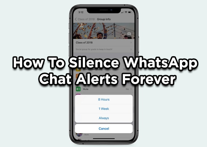 How To Silence WhatsApp Chat Alerts Forever Via Always Mute Feature