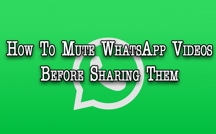 How To Mute WhatsApp Videos Before Sharing Them